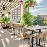 Ritual Rooftop Restaurant and Lounge Reviews